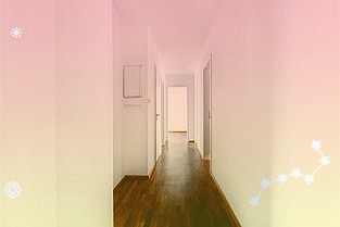 上交所:新增科创板股票、存托凭证特殊标识