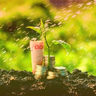 步步高跌停,深股通龙虎榜上净卖出607.86万元